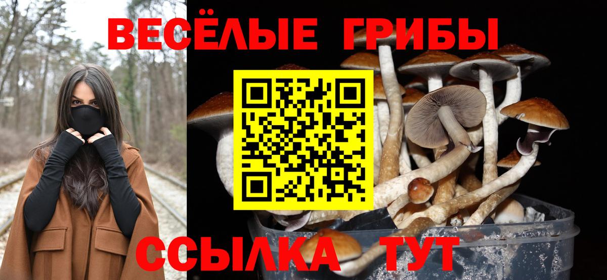 Анапа  Псилоцибиновые грибы прущие грибы  Вход с VPN 