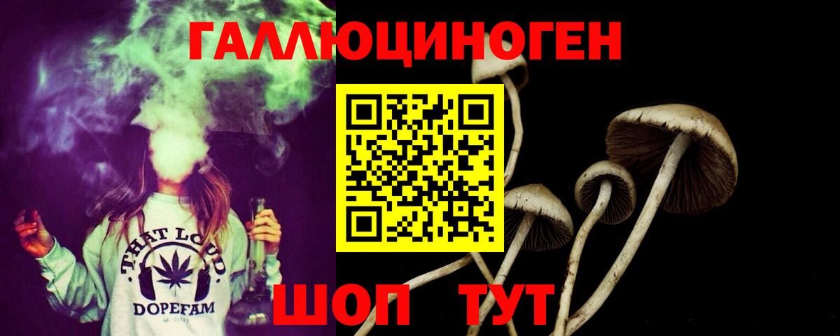 Галлюциногенные грибы Magic Shrooms Анапа